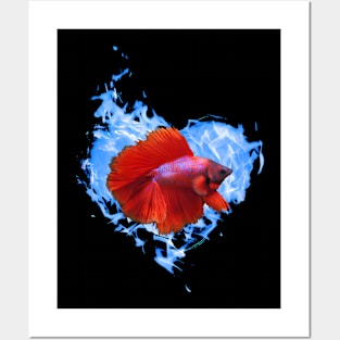 Red Betta Fish In Blue Flame Heart Posters and Art